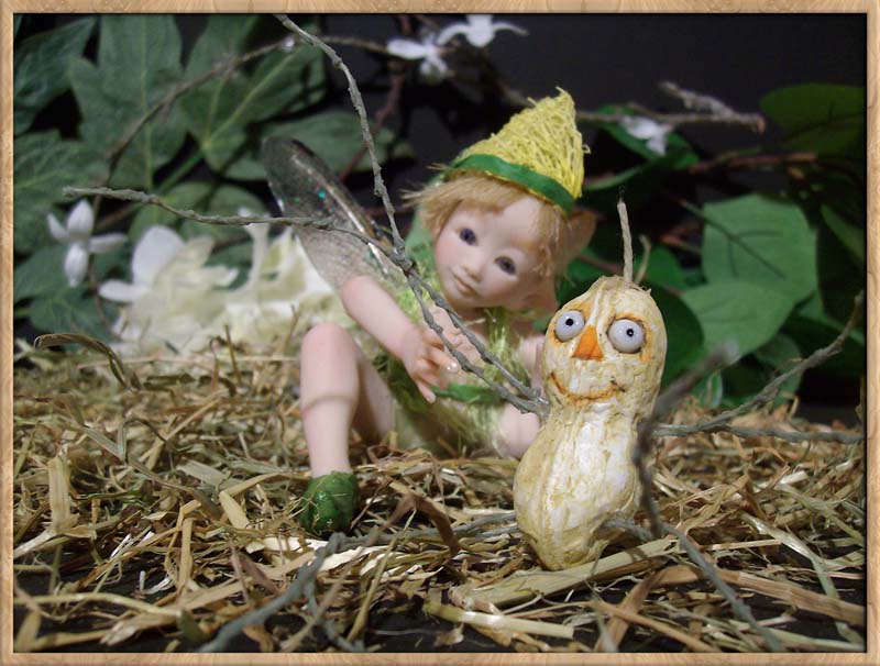 Baby Fairie Peo & Nut